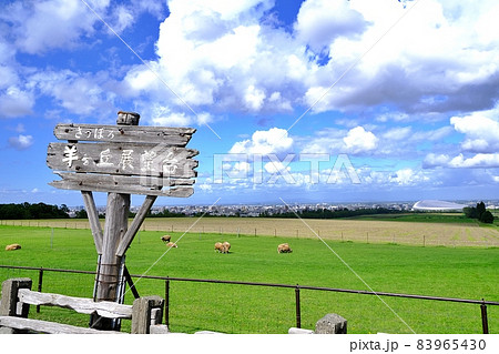 さっぽろ羊ヶ丘展望台 さっぽろ羊ヶ丘展望台 83965430