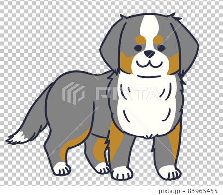 立っているバーニーズマウンテンドッグ 83965455