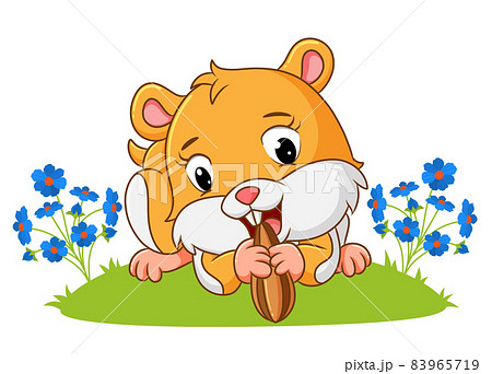 The cute hamster is holding and eating the sunflowers seeds The cute hamster is holding and eating the sunflowers seeds 83965719