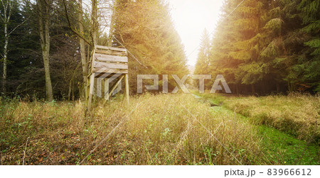 Wooden deer and wild boar hunting stand in forest. 83966612