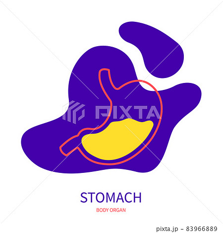 Stomach digestive system body organ outline icon 83966889