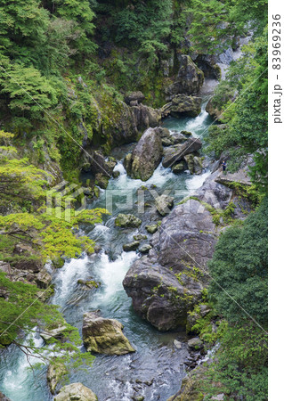 【自然景観】奥多摩 鳩ノ巣渓谷 83969236