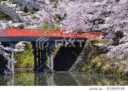 桜景　弘前城　杉の大橋 83969596