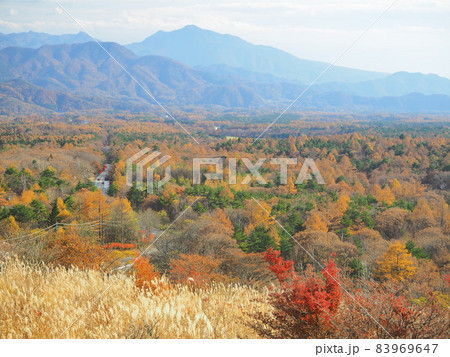 山梨県　美しの森　紅葉　11月 83969647