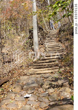 妙義山　中之嶽神社から見晴台への登山道 83970136