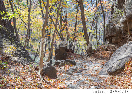 妙義山　中之嶽神社から見晴台への登山道 83970233