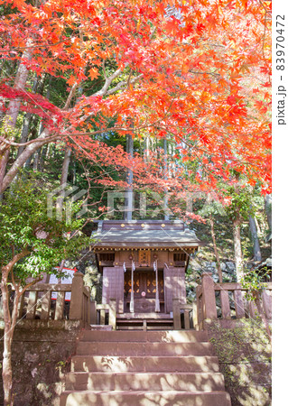 大山阿夫利神社 83970472