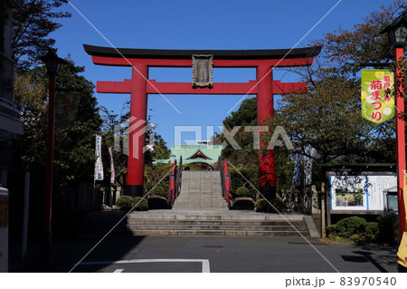 亀戸天神菊まつり 2021 東京都江東区亀戸3丁目6-1 亀戸天神菊まつり 2021 東京都江東区亀戸3丁目6-1 83970540