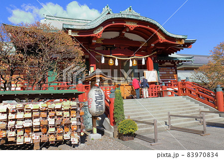 亀戸天神菊まつり 東京都江東区亀戸3丁目6 1の写真素材 9704 亀戸天神菊まつり 東京都江東区亀戸3丁目6 1の写真素材 9704