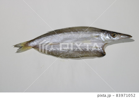 カマス かますの干物を真剣に撮ってみました。 カマス かますの干物を真剣に撮ってみました。 83971052