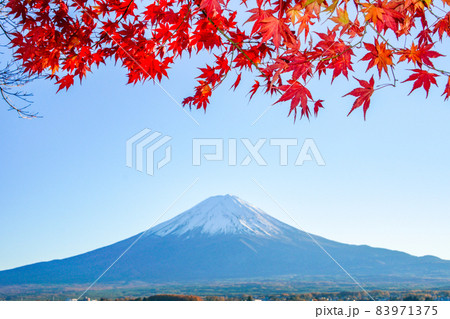 山梨県河口湖からの富士山と紅葉 山梨県河口湖からの富士山と紅葉 83971375