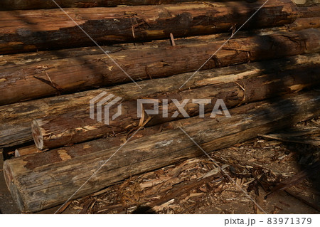 加工され積まれた丸太 83971379