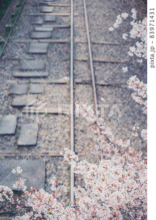 線路上の桜(蹴上インクライン) 線路上の桜(蹴上インクライン) 83971431