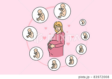 Pregnant woman with embryo development stages  83972008