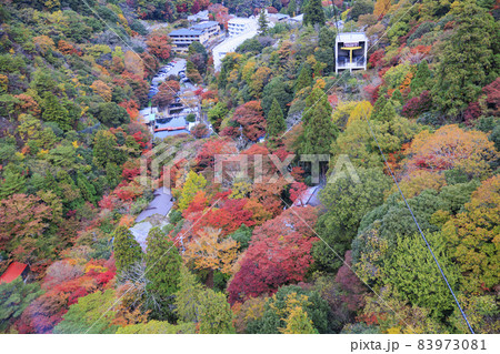 紅葉真っ盛りの六甲有馬ロープウェイ 83973081