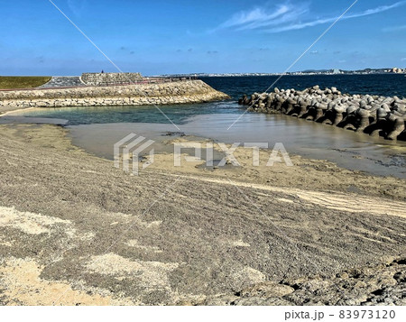 沖縄の海に漂着する軽石 沖縄の海に漂着する軽石 83973120