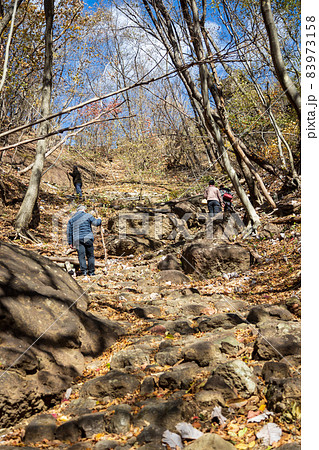 妙義山 中之嶽神社から見晴台への登山道の風景 妙義山 中之嶽神社から見晴台への登山道の風景 83973158