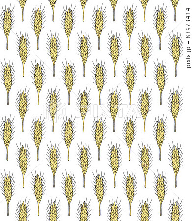 Vector seamless pattern of hand drawn wheat spica Vector seamless pattern of hand drawn wheat spica 83973414