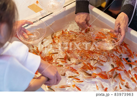縁日の金魚すくい 83973963