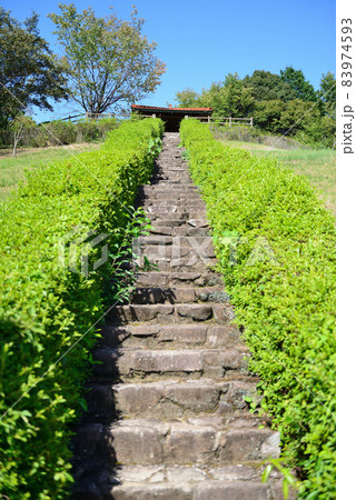 広島県　東広島市　憩いの森公園 83974593