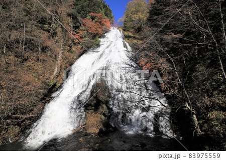栃木県　奥日光の紅葉　湯滝 83975559