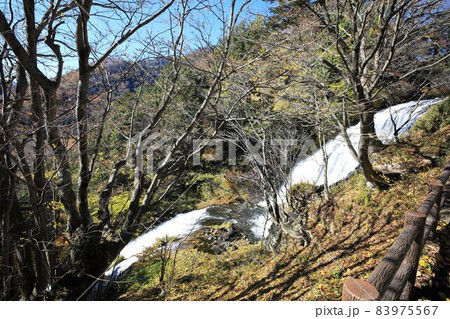 栃木県　奥日光の紅葉　湯滝 83975567