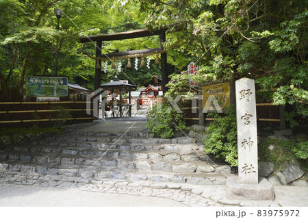 野宮神社 京都市右京区嵯峨野 野宮神社 京都市右京区嵯峨野 83975972