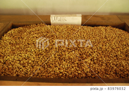 バリ･コーヒーの生豆（バリ島／インドネシア） 83976032