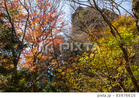 妙義山　中之嶽神社境内の紅葉 83976610