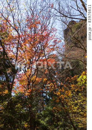 妙義山 中之嶽神社境内の紅葉 妙義山 中之嶽神社境内の紅葉 83976611