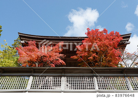高野山金剛峯寺 紅葉の六時鐘 和歌山県 高野山金剛峯寺 紅葉の六時鐘 和歌山県 83976648