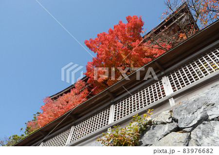 高野山金剛峯寺　紅葉の六時鐘　和歌山県 83976682