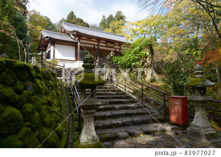 秋の長谷寺 陀羅尼堂 奈良県桜井市初瀬 秋の長谷寺 陀羅尼堂 奈良県桜井市初瀬 83977027