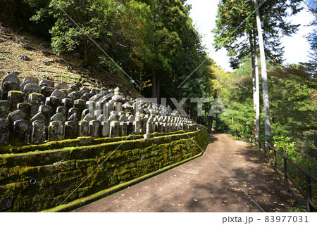 秋の長谷寺 陀羅尼堂参道の石仏 奈良県桜井市初瀬 秋の長谷寺 陀羅尼堂参道の石仏 奈良県桜井市初瀬 83977031