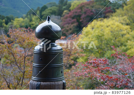 秋の長谷寺 本堂舞台の擬宝珠と紅葉 奈良県桜井市初瀬 秋の長谷寺 本堂舞台の擬宝珠と紅葉 奈良県桜井市初瀬 83977126