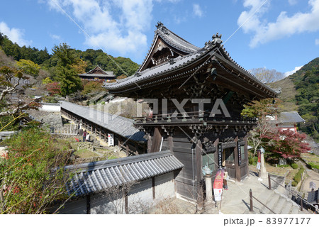 秋の長谷寺　仁王門　奈良県桜井市初瀬 83977177