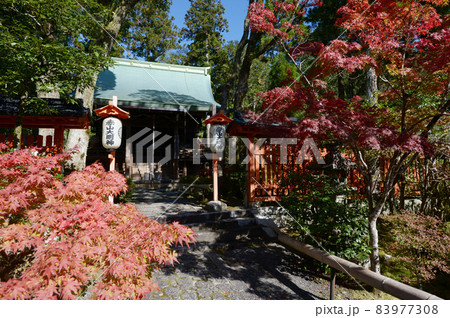 赤山禅院 本殿 京都市左京区 赤山禅院 本殿 京都市左京区 83977308