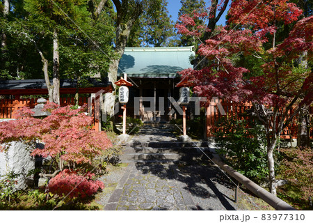 赤山禅院　本殿　京都市左京区 83977310