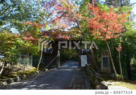 赤山禅院　山門　京都市左京区 83977314