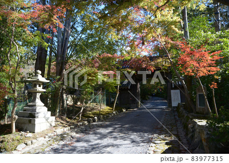 赤山禅院 山門 京都市左京区 赤山禅院 山門 京都市左京区 83977315