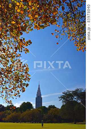 秋色の風景 秋色の風景 83978040