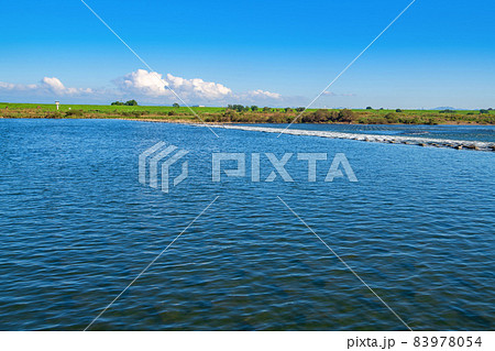 利根川　武蔵大橋付近　利根大堰下流 の風景　初秋の季節　 83978054