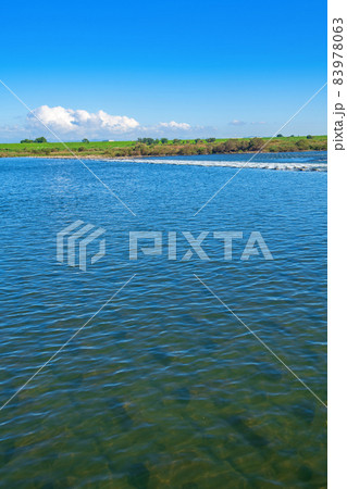 利根川　武蔵大橋付近　利根大堰下流 の風景　初秋の季節　 83978063