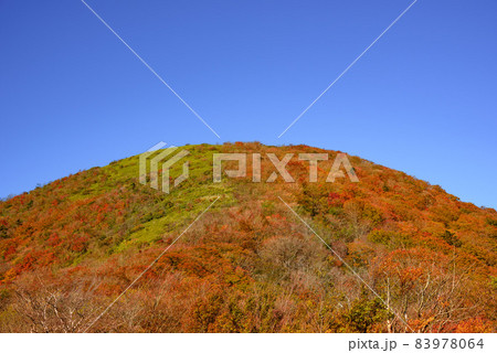 秋の竜ヶ岳の紅葉と青空 83978064