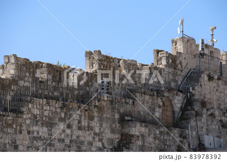 南の壁考古学博物館 南の壁考古学博物館 83978392