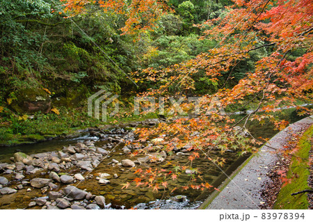 青井岳紅葉 R3秋 青井岳紅葉 R3秋 83978394