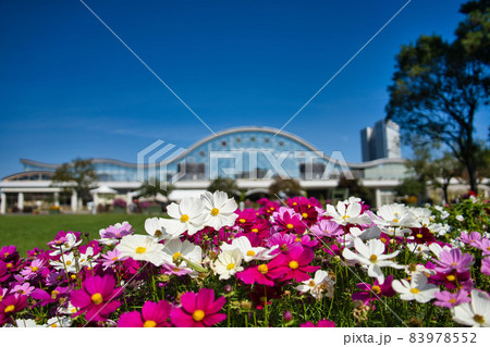 フローランテ宮崎 R3秋 フローランテ宮崎 R3秋 83978552