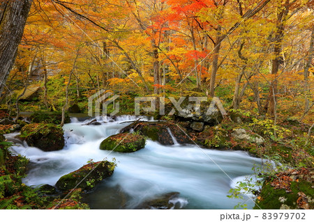 青森県十和田市奥瀬 奥入瀬渓流の水の流れと紅葉 青森県十和田市奥瀬 奥入瀬渓流の水の流れと紅葉 83979702