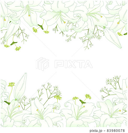 ゆりのフレーム②（上下） 83980078