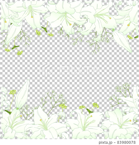 ゆりのフレーム②（上下） 83980078